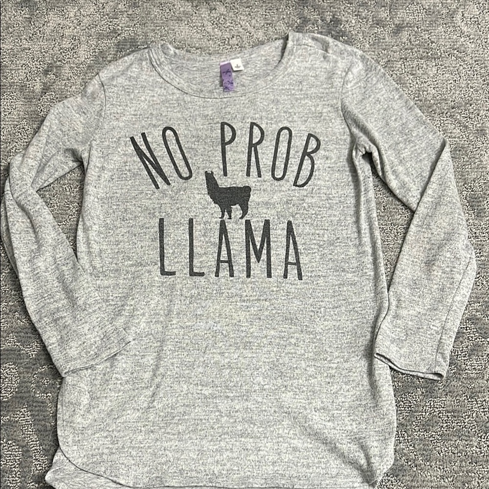 Alya Gray Long Sleeve Tee - No Prob Llama